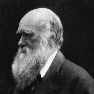 Photo of Charles Darwin