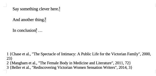 Screenshot of footnotes in RTF Scan format